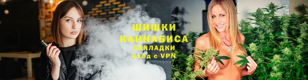 твердый Осинники