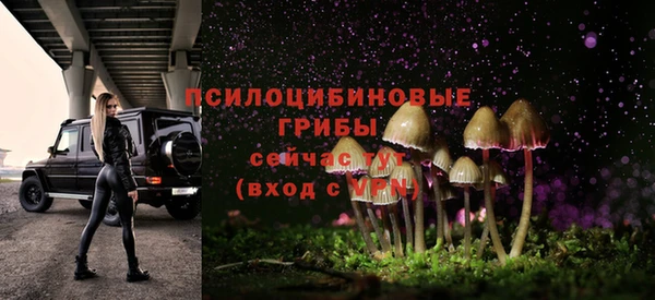 гашиш Пересвет