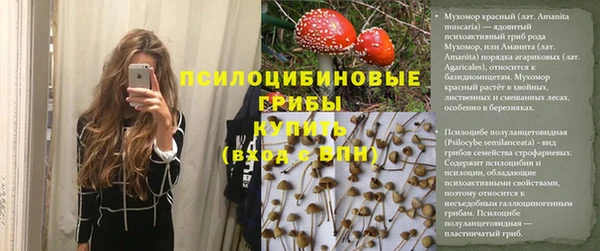 гидра Пестово