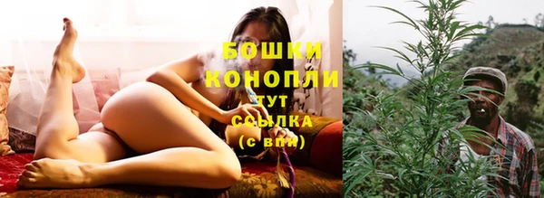 гидра Пестово