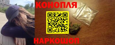 гидропоника Заводоуковск