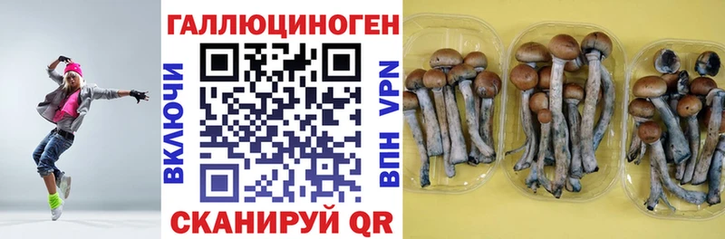 Псилоцибиновые грибы ЛСД  мега маркетплейс  Прохладный 