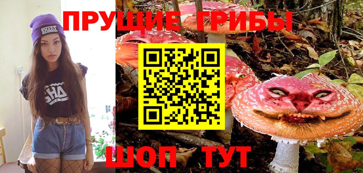 даркнет сайт  Псилоцибиновые грибы мухоморы  Вход с VPN  Прохладный 