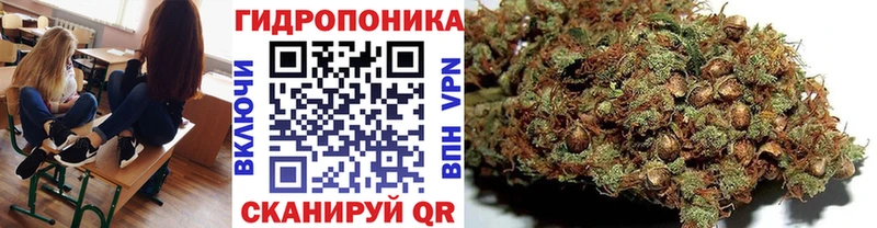 Марихуана MAZAR где купить Прохладный